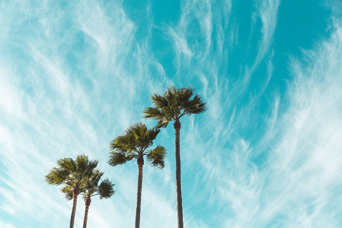 Matthew hicks unsplash
